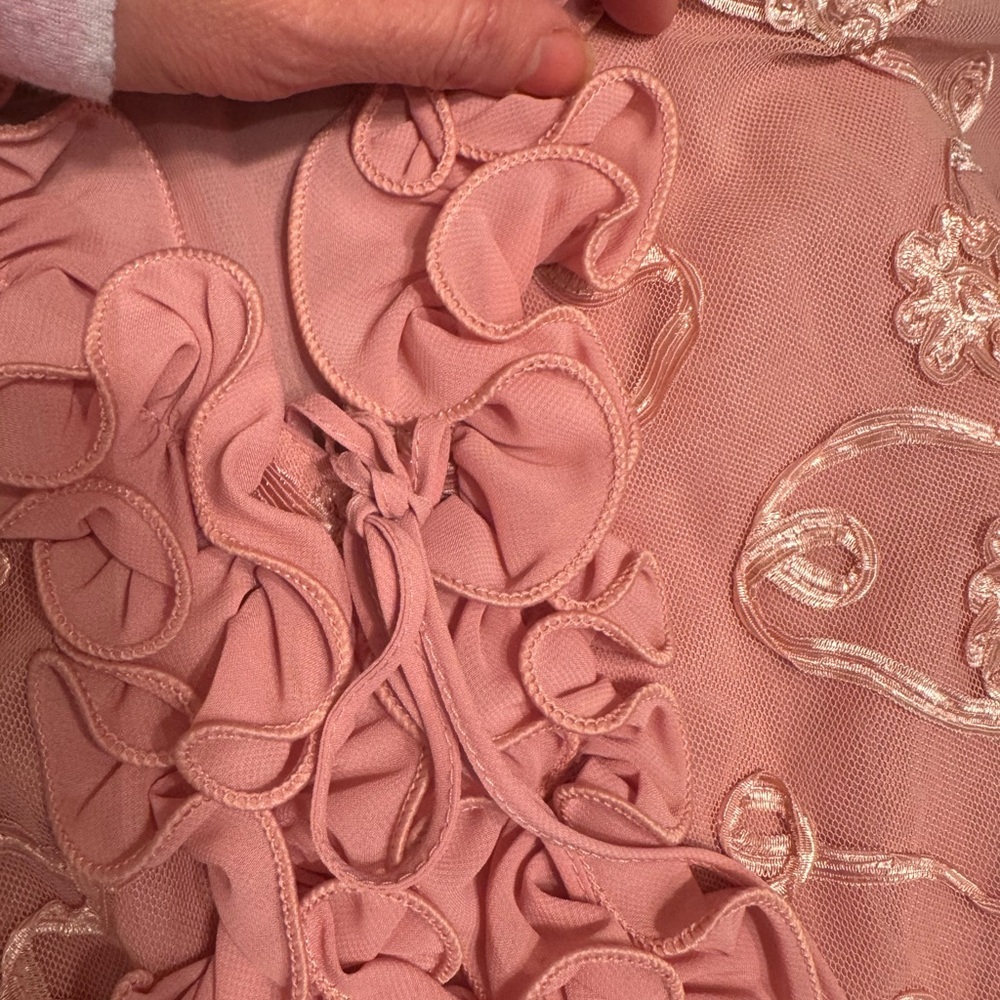 Vintage Pink Embroidered Ruffle Blouse Sheer Floral Tunic Top Boho Romantic - Picture 7 of 9